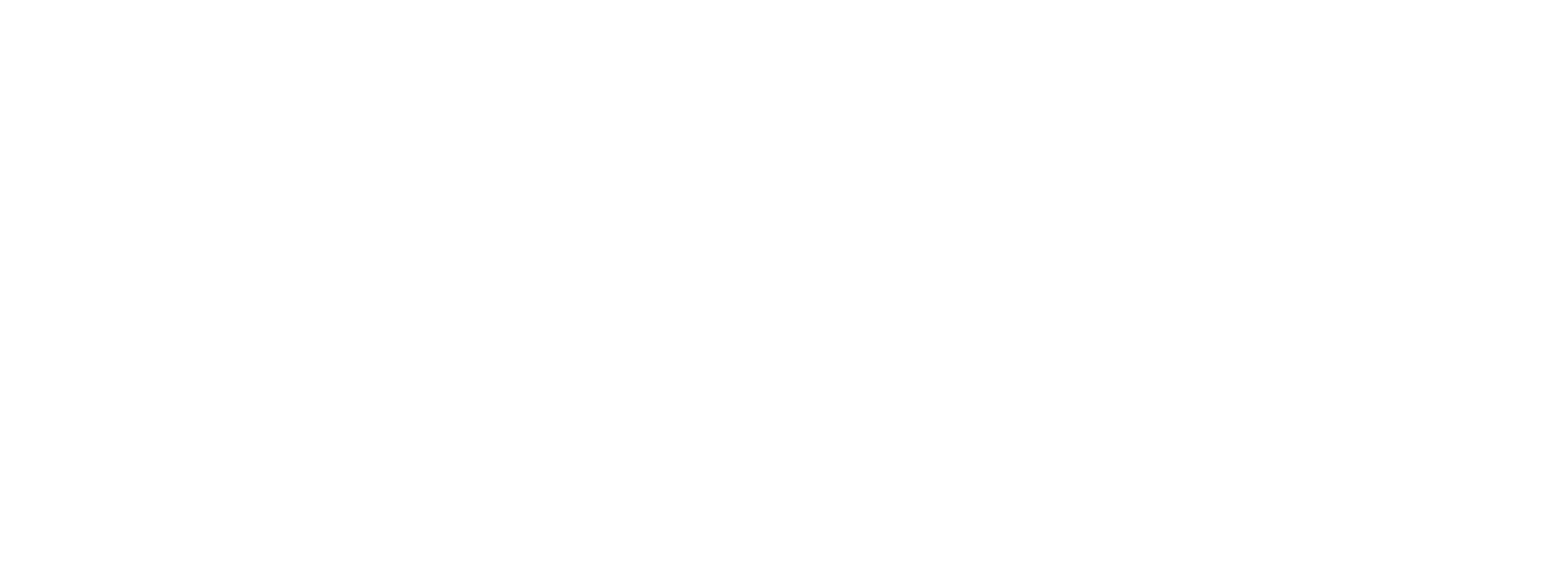 Icon White Akcije i ponude