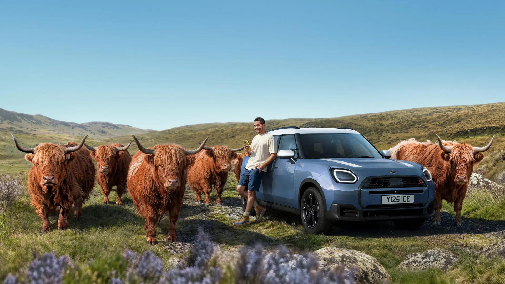 Muškarac se opušteno naslanja na svoj MINI Countryman S ALL4 model dok je okružen škotskim visinskim govedima na brdovitom terenu.